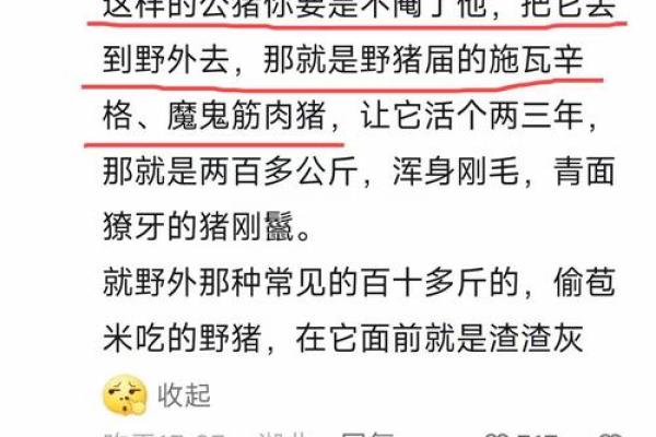 解密1983年男猪的命运：性格、特点与人生轨迹