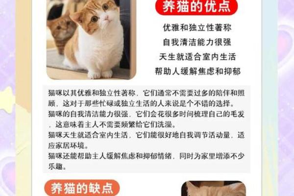 解密命格：什么样的人适合养猫狗？