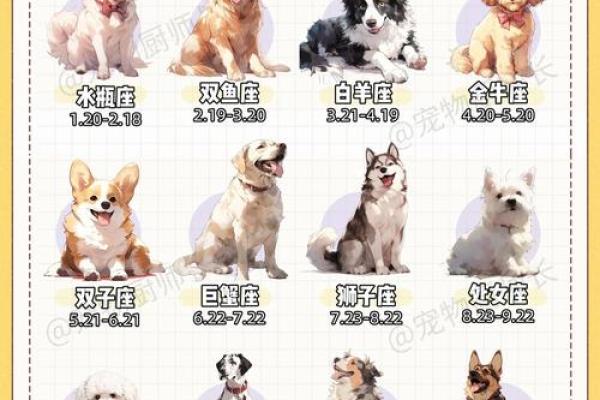 解密命格：什么样的人适合养猫狗？
