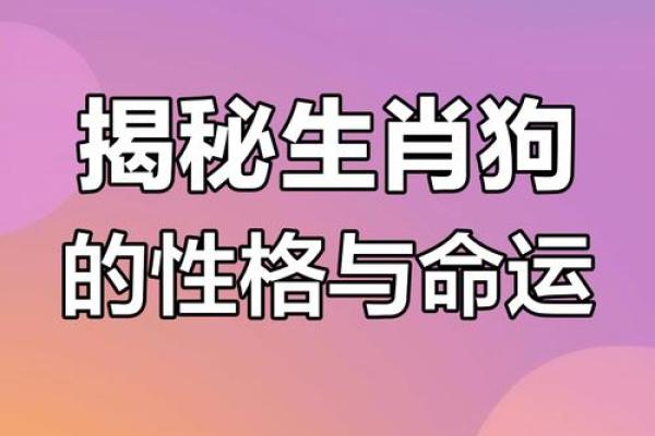 生肖狗何以命理透视：24岁之际的启示与转变