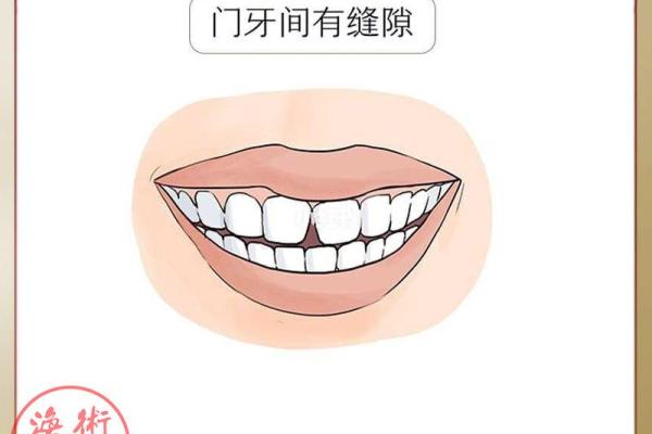 上门牙大的人命运如何？揭秘面相与性格的奇妙关系