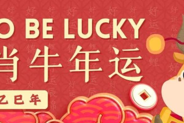 2025年属牛：解密牛年命运与生肖性格的奥秘