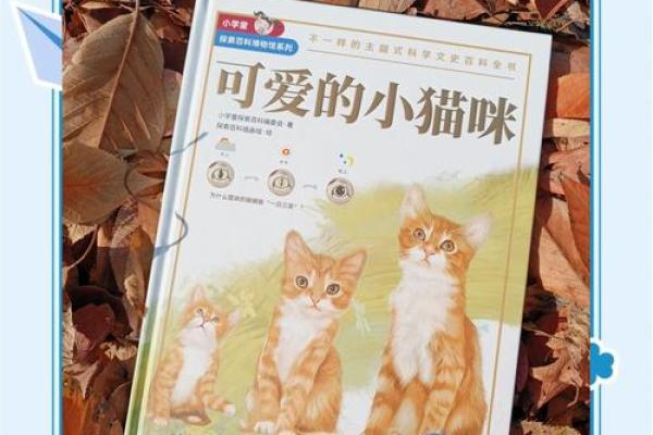 猫有几条命？探寻猫咪神秘的“九条命”传说与科学解读