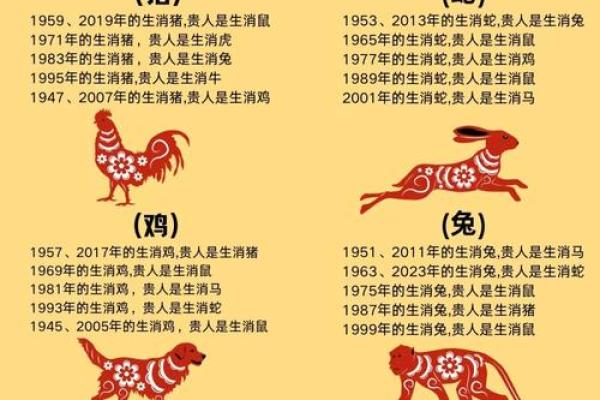 金马命的色彩选择：如何通过颜色提升运势与生活品质