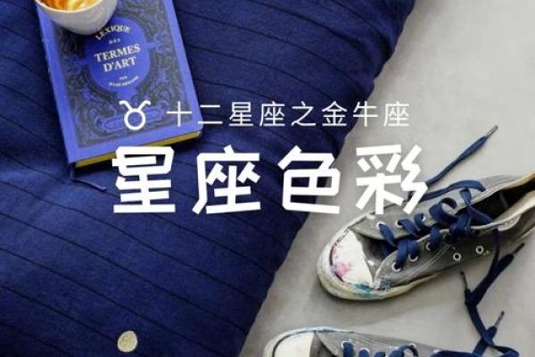 金马命的色彩选择：如何通过颜色提升运势与生活品质