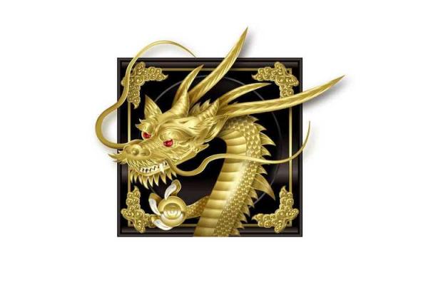 2008年属鼠的命理解析：解密你的命运和人生方向！