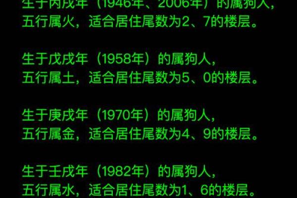 2018年属狗人大揭秘：12月出生的命运与性格分析