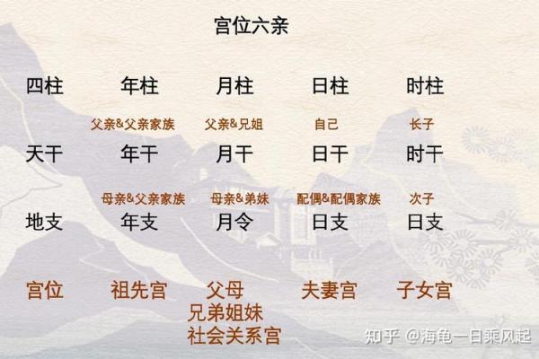探寻二零一九年出生孩童的命理特征与未来发展