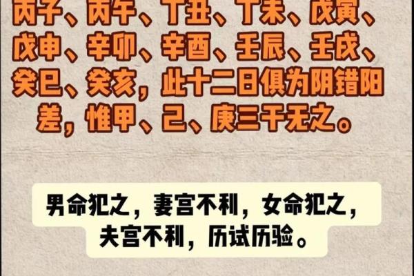 探秘命格：解读“一个雷两条命”的深层含义与启示