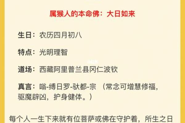 根据人的出生命理，揭示你的生肖密码与命运之旅