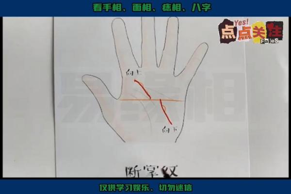 右手断掌男命的独特象征与人生解读