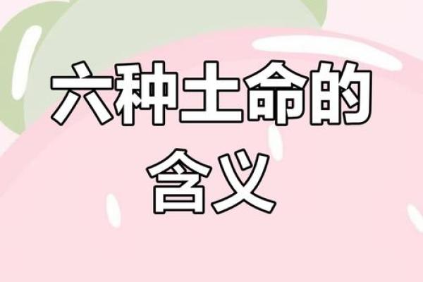 2006年土命解析：性格特征与命运之路