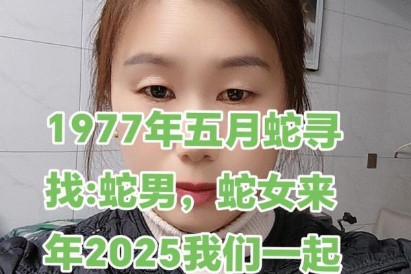 1977年出生的属蛇人：智慧与魅力交融的人生探索