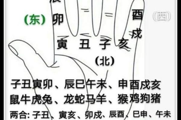 1978年属什么命？揭秘农历命理与人生轨迹的秘密