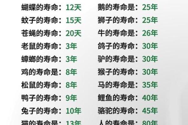 关于动物命运的无声启示：那些不听命的生命故事