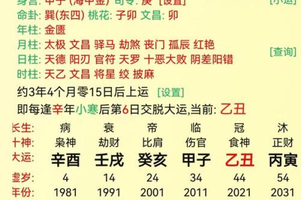 揭秘己亥庚午乙未癸酉命理：你的命运在哪里？