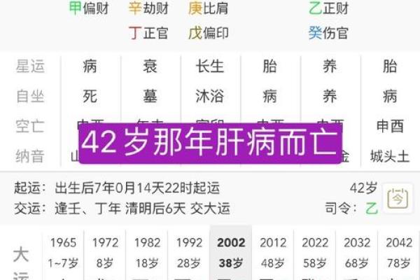 揭秘己亥庚午乙未癸酉命理：你的命运在哪里？