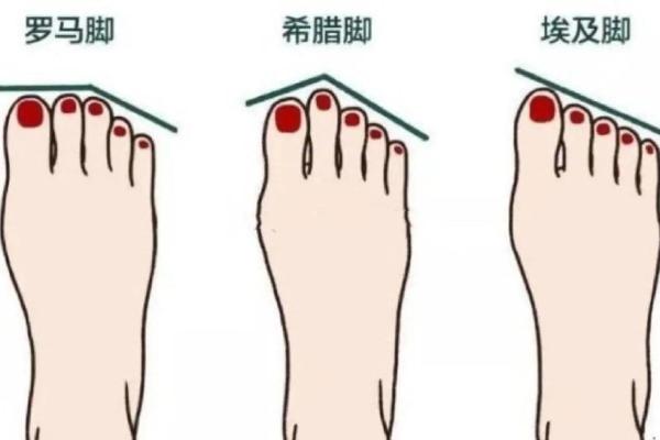 揭秘脚的形状与个人命运的千丝万缕关系