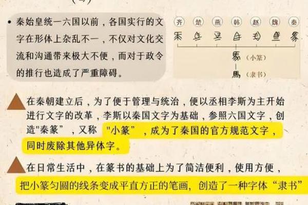 揭示楼层命运：你家每层楼的秘密与意义