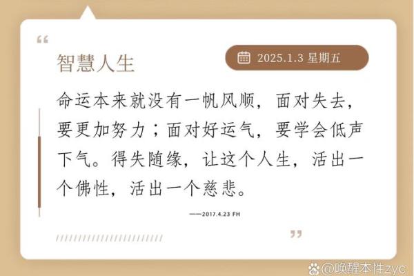 52岁人生运势解析：把握机会，创造未来