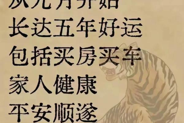 1963年虎年出生的命运与性格探秘