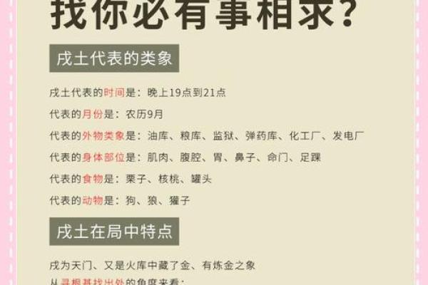 成功者的命理：解读那些走向辉煌的背后秘籍