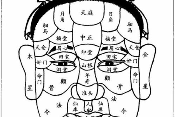 揭示阴阳脸男人的命运奥秘：面相与人生的妙趣关系