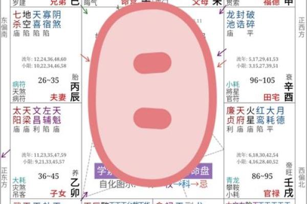 适合学习中文的命盘：揭示五行与语言才能的秘密