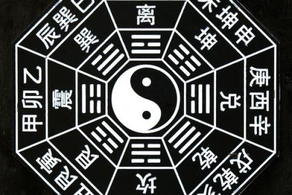 适合学习中文的命盘：揭示五行与语言才能的秘密