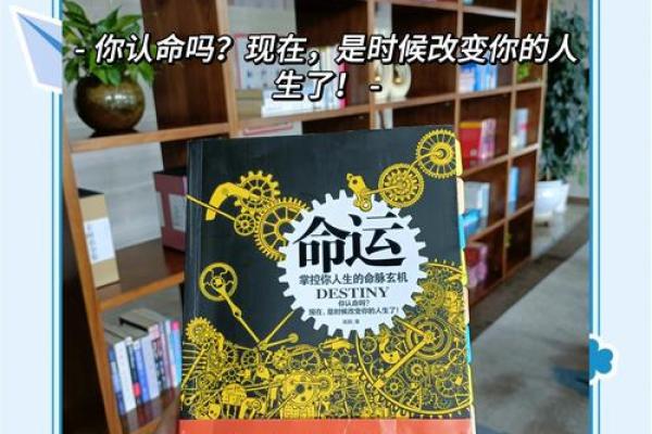 揭开11点左右出生者的命运秘密：你属于哪种人生轨迹？