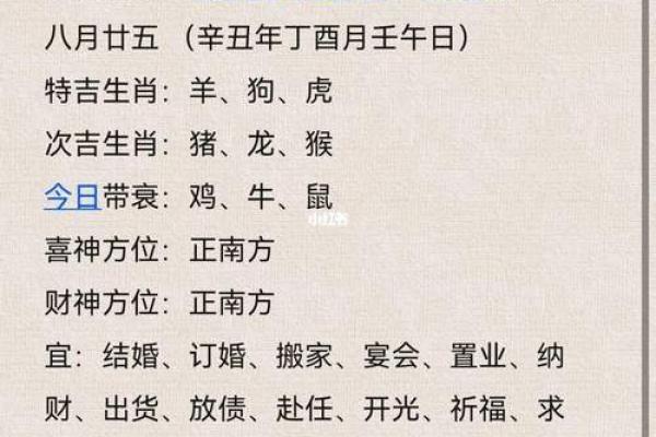1994年2月出生的人：属于什么命？命运解析与运势提升