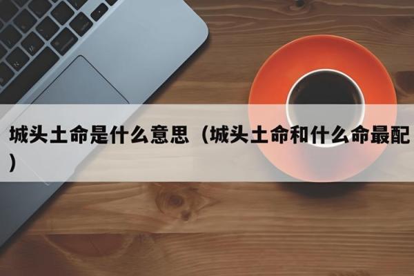 城头土命：适合发展的行业与职业选择分析