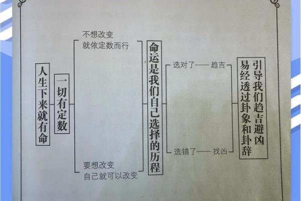 93年属鸡的命理解析与运势探讨：金的特性与发展方向