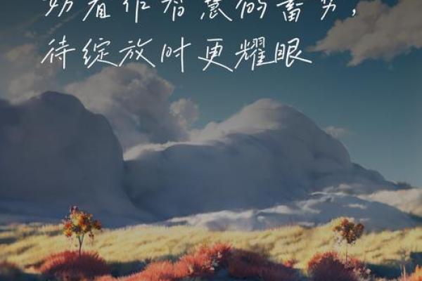 傍晚出生的人命运揭秘：星辰的指引与人生的契机