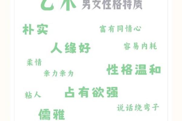 探索木命人的神秘特质与性格魅力