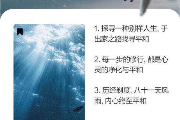 和尚命的本意：人生哲学与内心平和的探寻