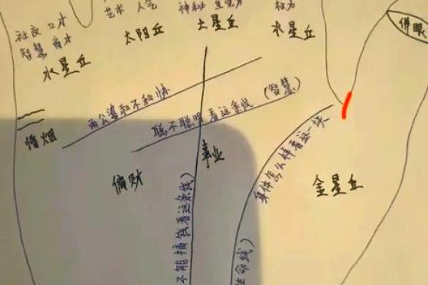 女人手掌粗硬与命运的秘密探讨