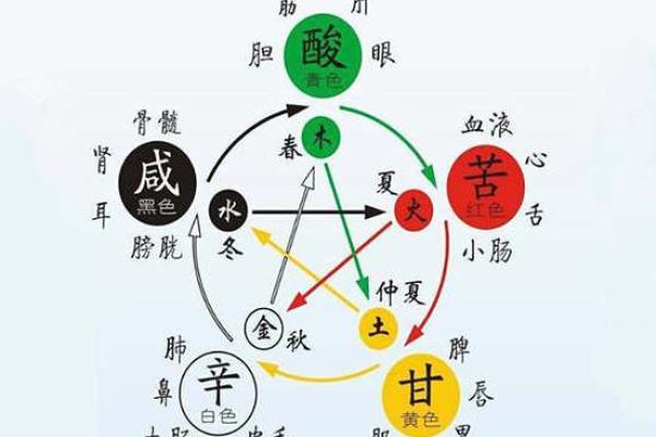 纳金：揭开命理学中的神秘面纱，探索五行与运势的奥秘