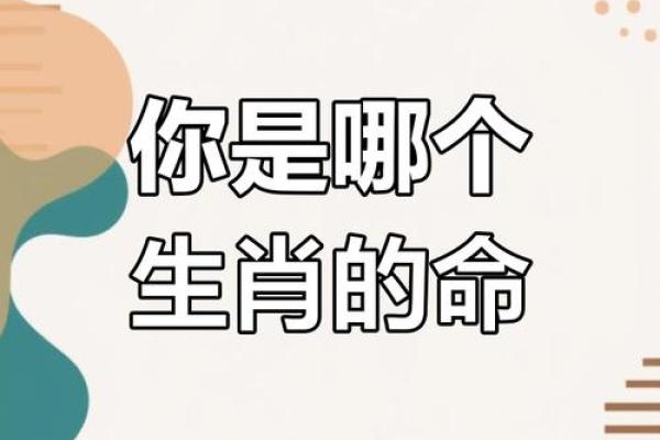 属什么生肖都好的人是什么命？解读幸福的生肖命运之道！