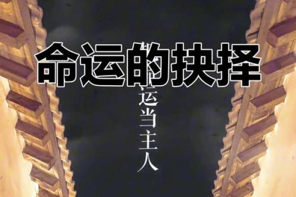 命硬感情观究竟是谁在掌控你的命运？