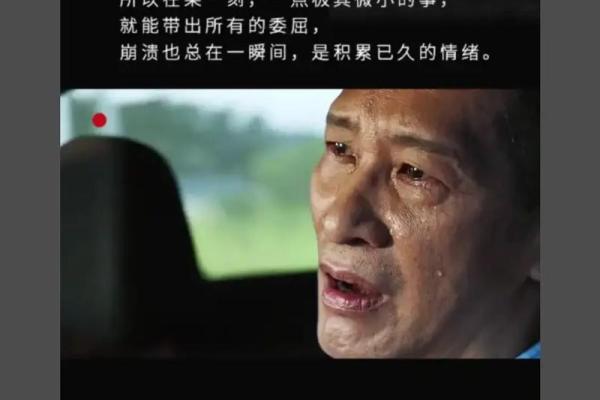 无依无靠，我的命：一首唤醒灵魂的感人之歌