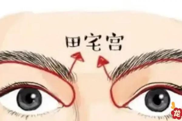 眉骨突出的命运解析：从面相看人生的可能性与挑战