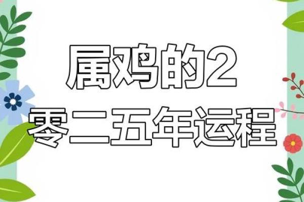 属鸡1980年命运解读：如何把握人生机遇和挑战