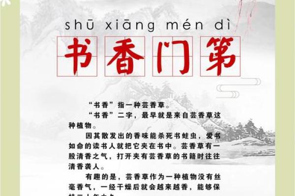 爱什么什么命：关于爱与命运的成语探寻