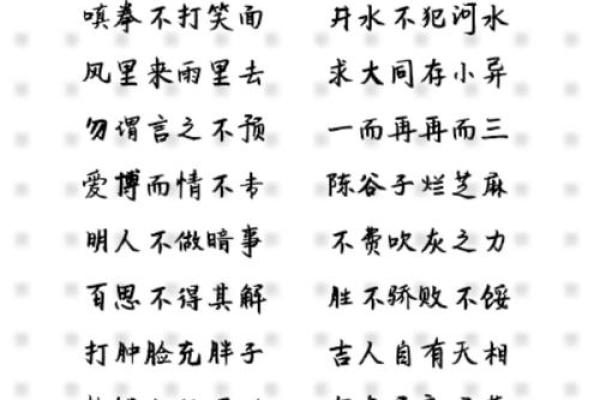 爱什么什么命：关于爱与命运的成语探寻