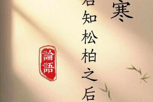 松柏木命忌什么颜色？探寻与颜色的和谐之道