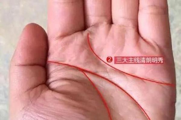 手掌长于手指的人：命运揭示与人生智慧