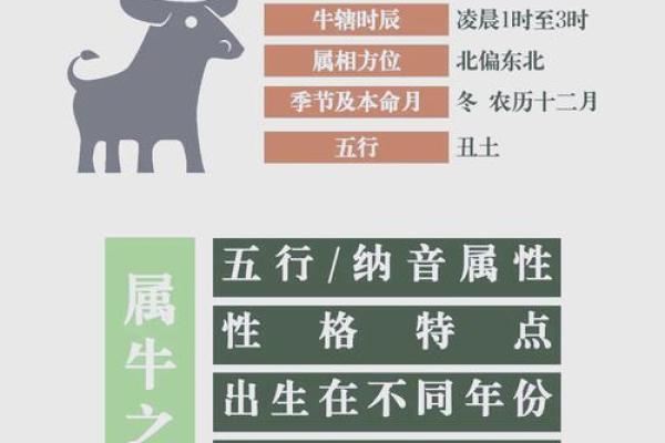 农历十九出生的人：命运与性格的深度解析