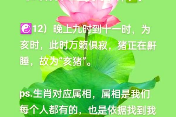 揭秘2011年亥时出生的命运与性格特征探究