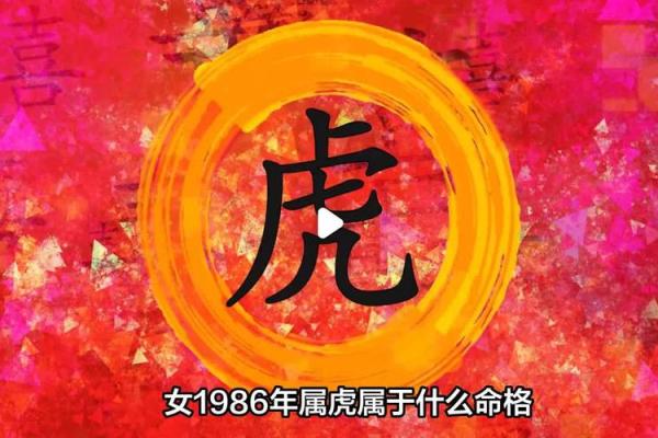 1986年属虎的命运解析：揭示生命的新篇章